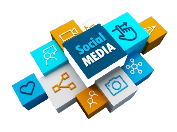 social media marketing agency in india​