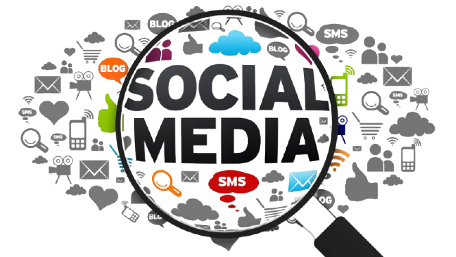 social media marketing agency in india​
